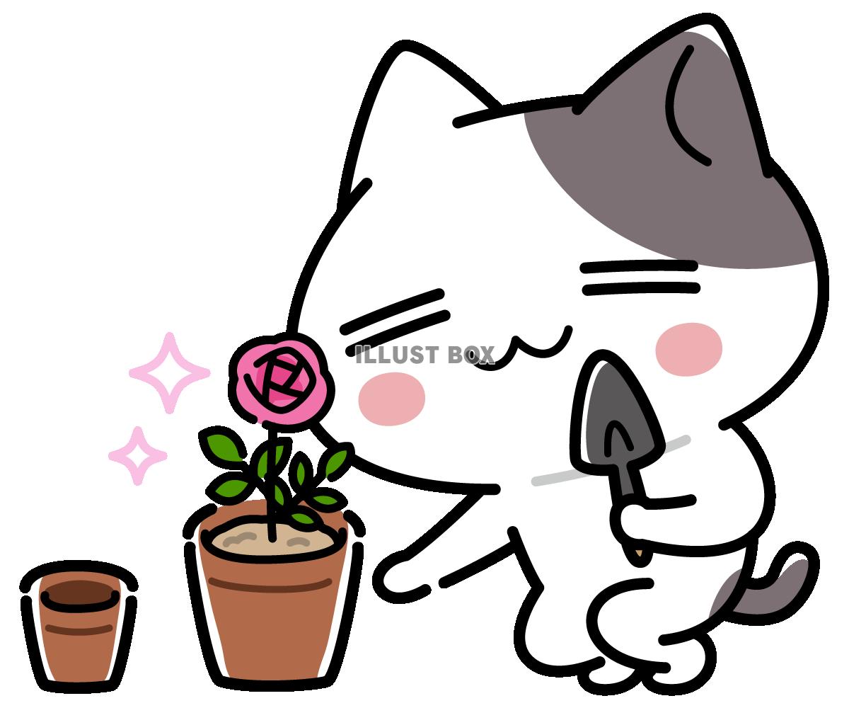 バラの植え替えをしているにゃんこのイラスト＜ぶち猫　にゃんこ...