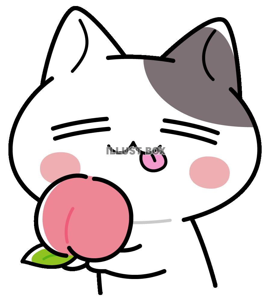 大きな桃を持ったにゃんこのイラスト＜ぶち猫　にゃんこ＞