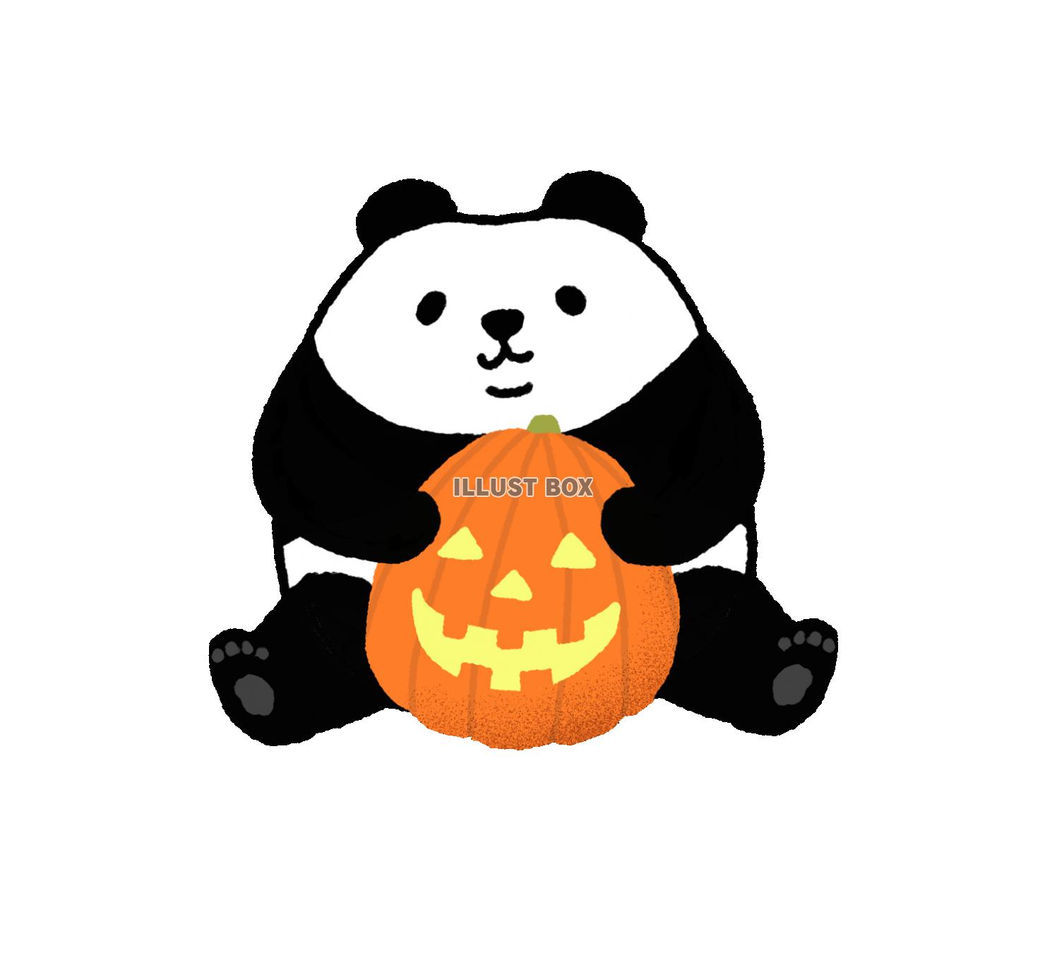 パンダシリーズ　ハロウィン1 