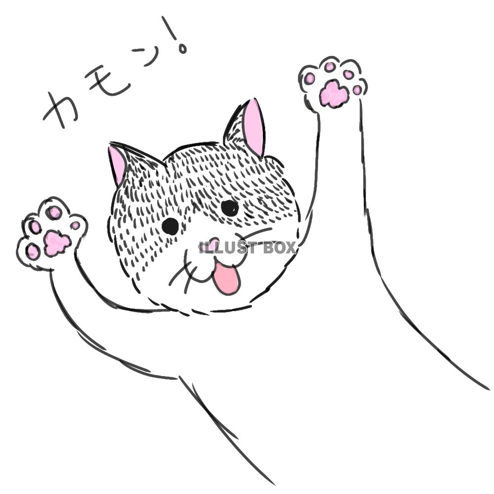 カモン！な猫さん