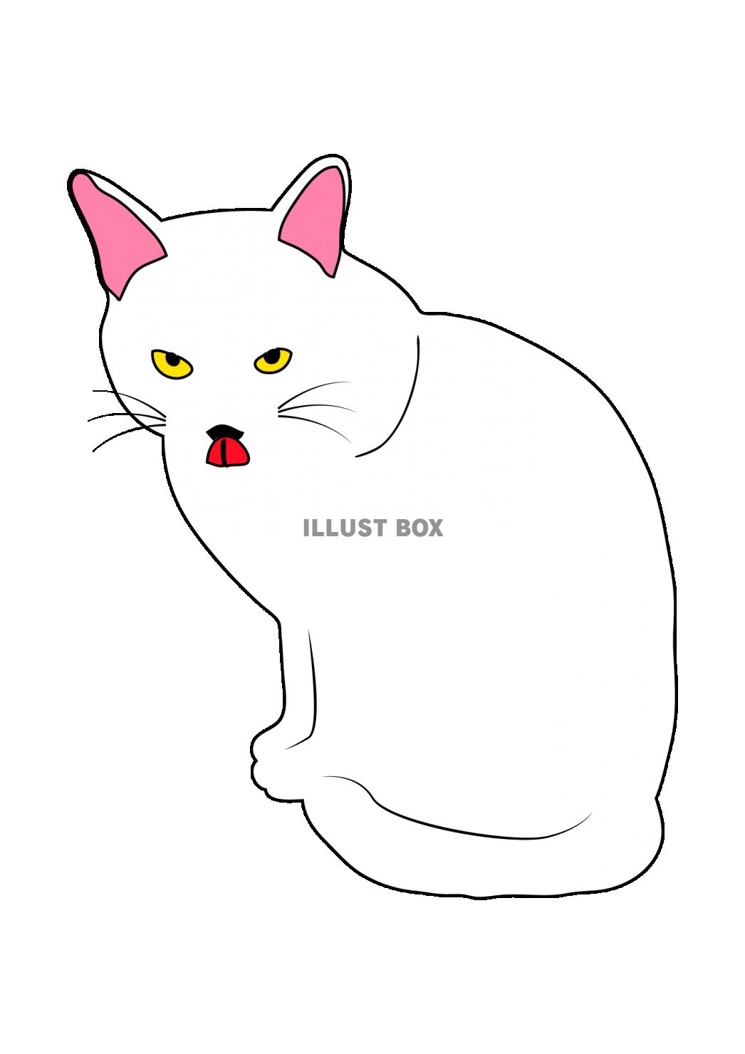 白猫のイラスト素材