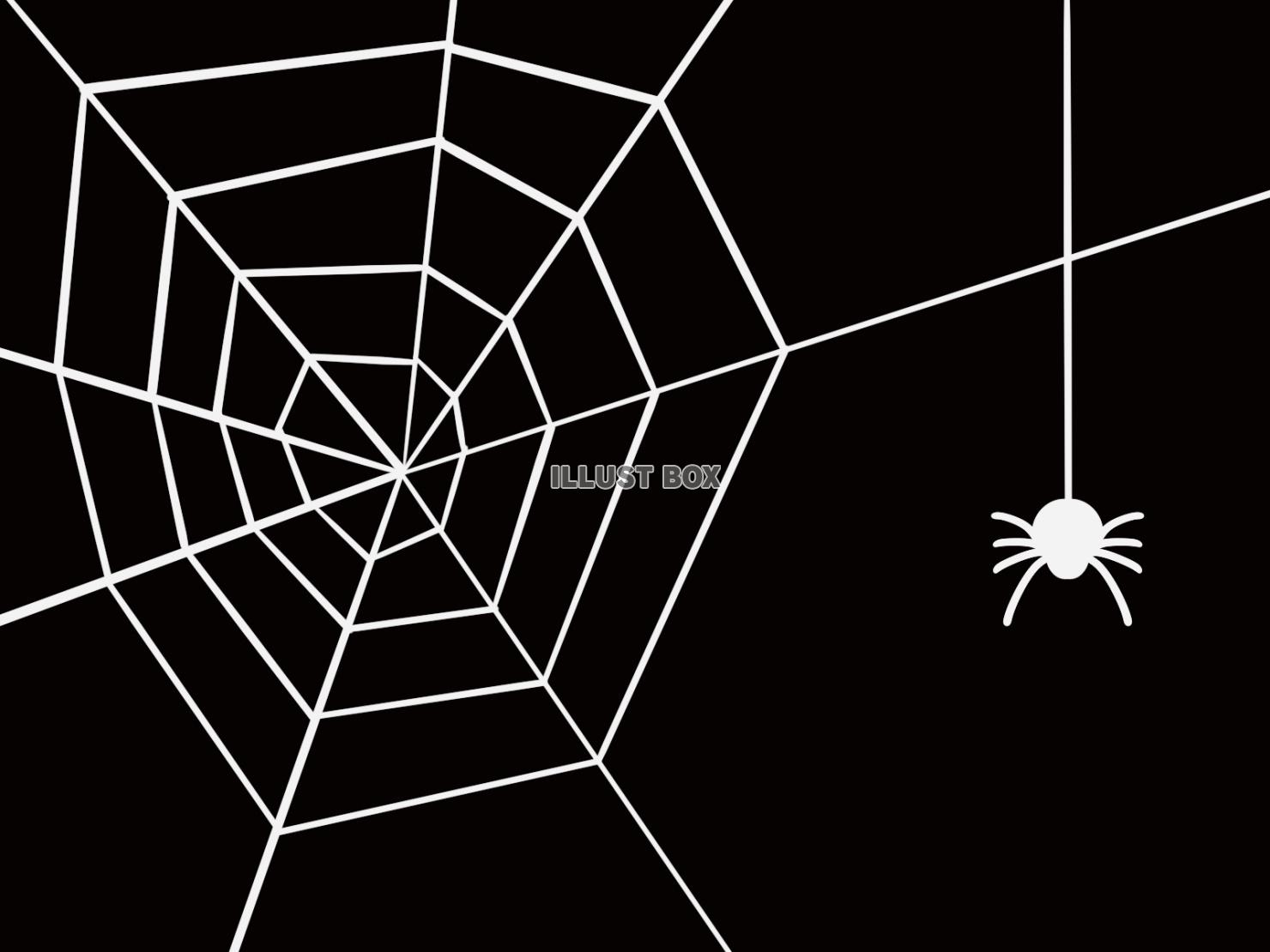 シンプルな蜘蛛と蜘蛛の巣の背景