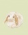 リアルなうさぎ