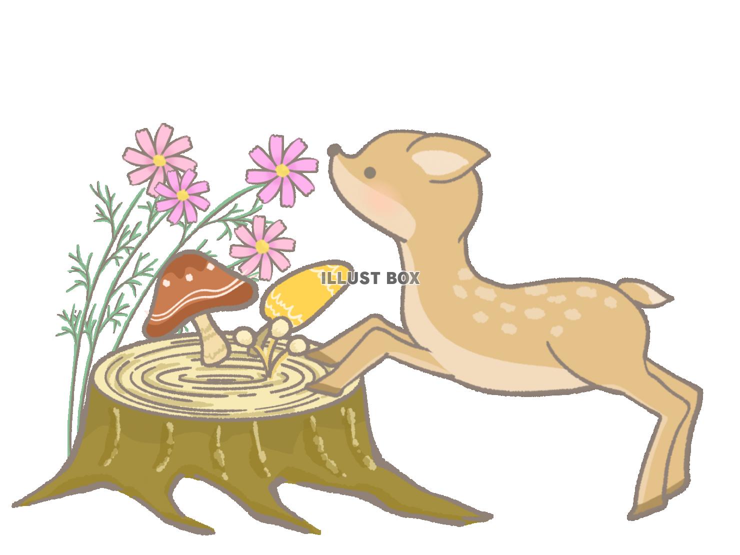無料イラスト 小鹿ときのこのワンポイントイラスト 線あり