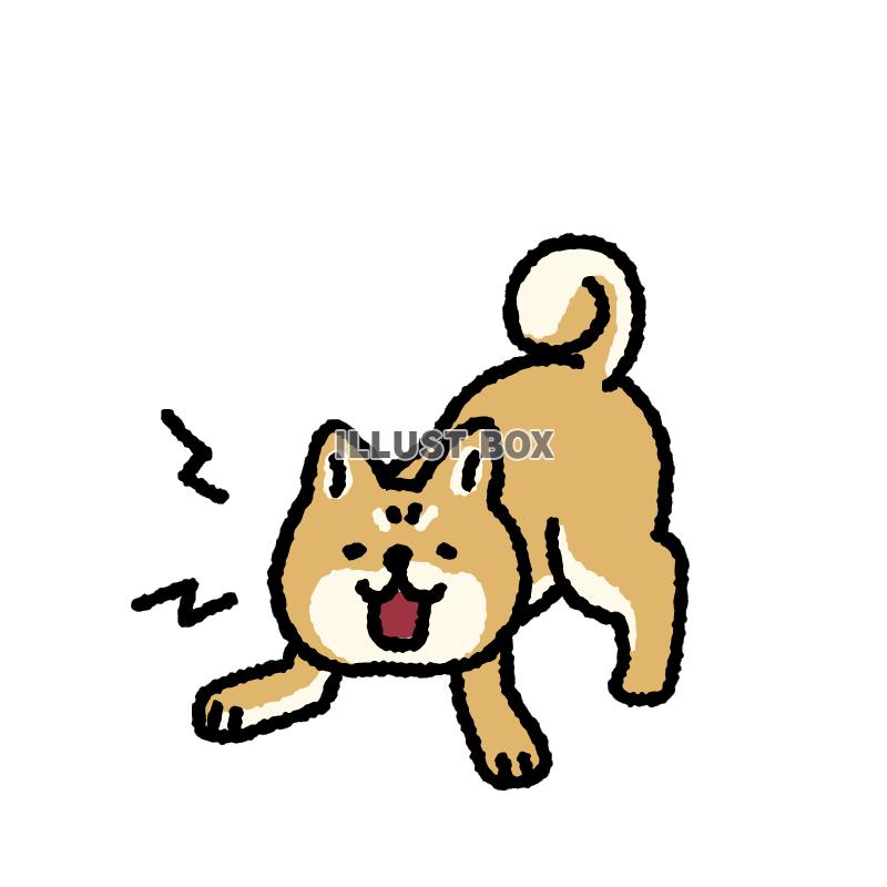 無料イラスト シンプルでかわいい吠える柴犬のイラスト