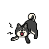 シンプルでかわいい吠える柴犬のイラスト