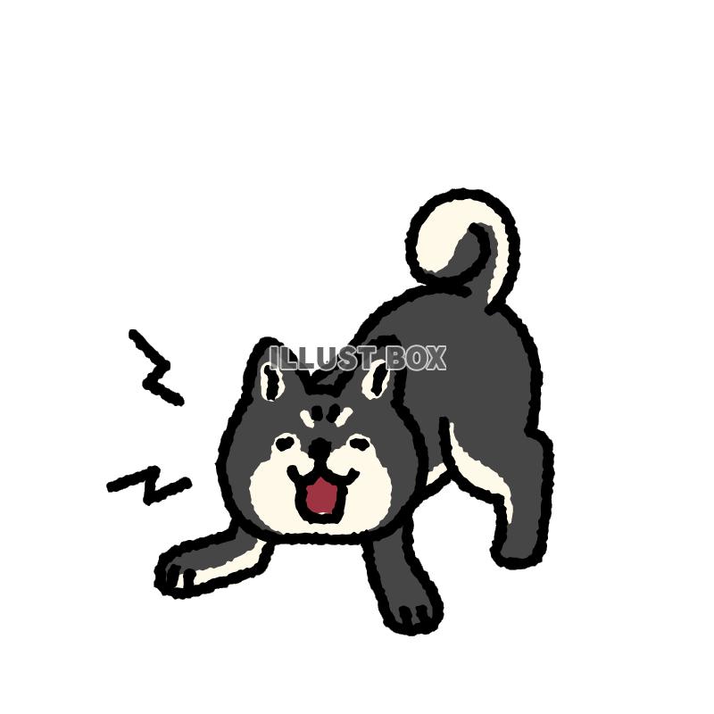 シンプルでかわいい吠える柴犬のイラスト