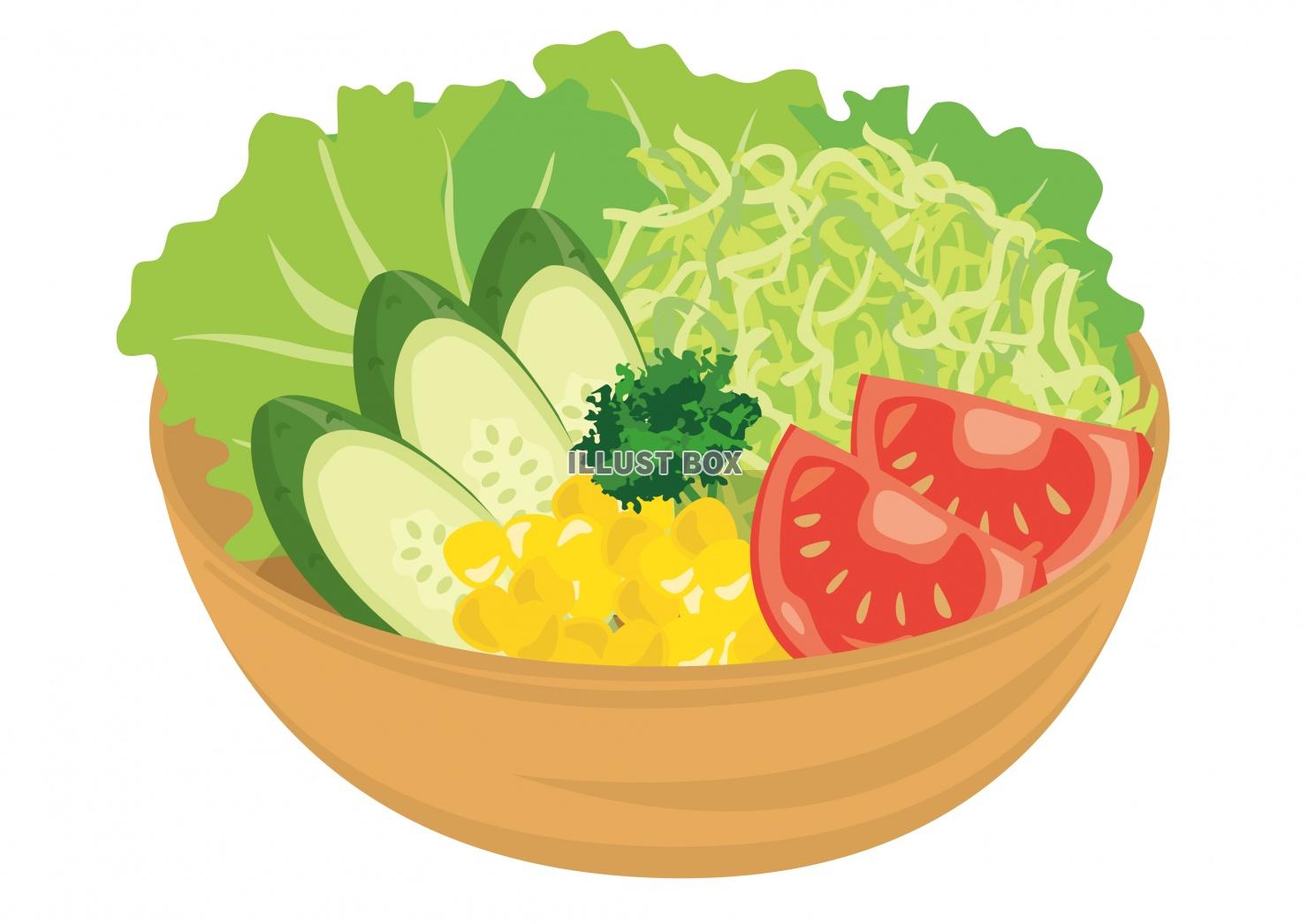 無料イラスト 食事 洋食シリーズ 野菜サラダ