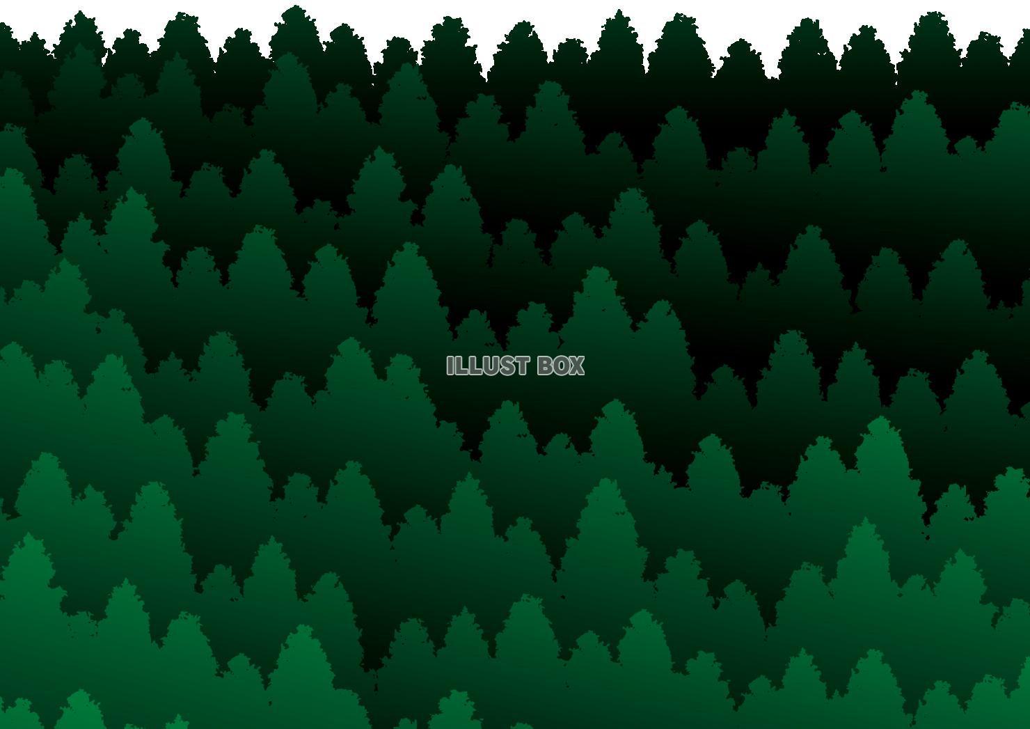 深い緑色の森林　樹林　壁紙　背景