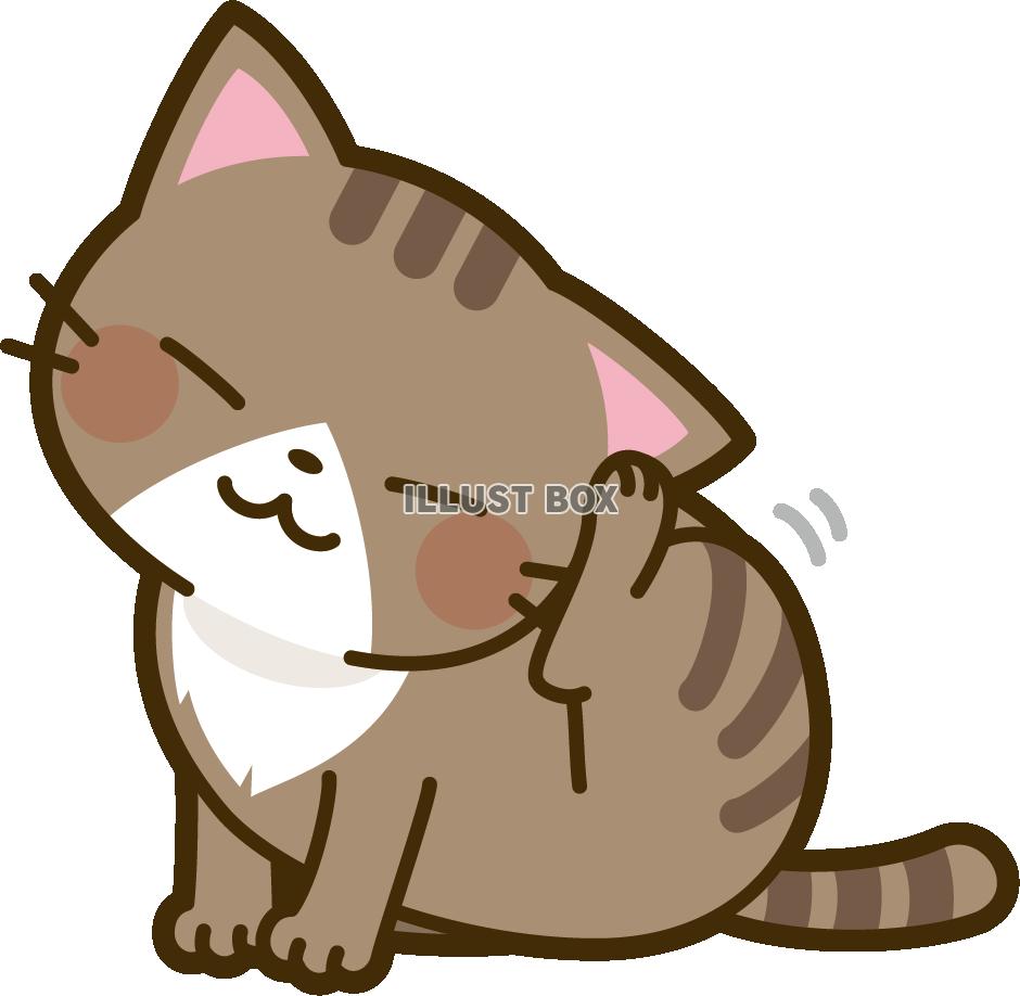 無料イラスト 頭を掻く猫