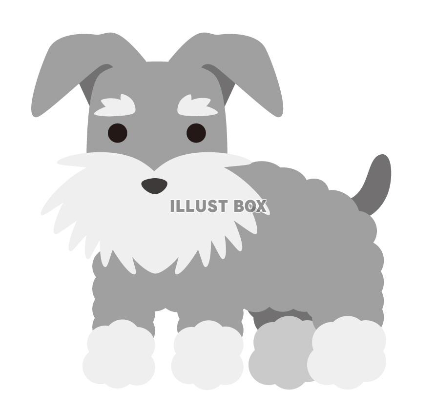 無料イラスト シュナウザー 無料イラスト シュナウザー