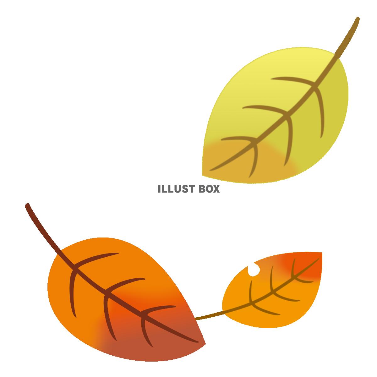 シンプルな落ち葉のイラスト　秋の素材　透過PNG