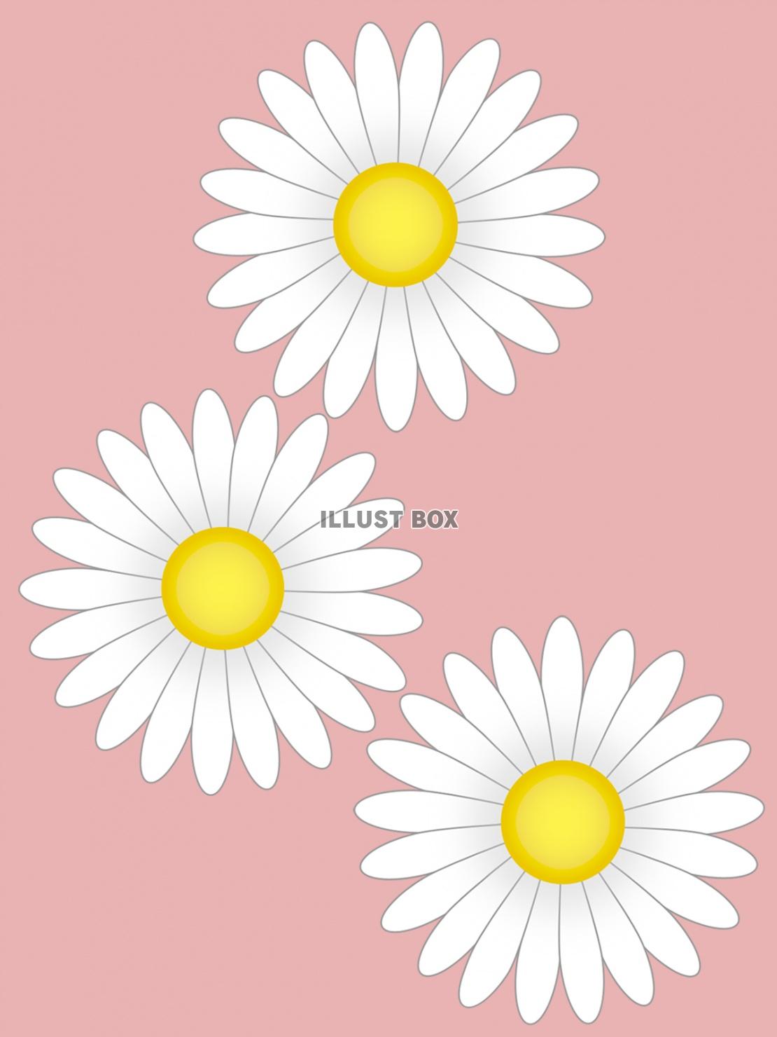 白いお花模様壁紙シンプル背景素材イラスト