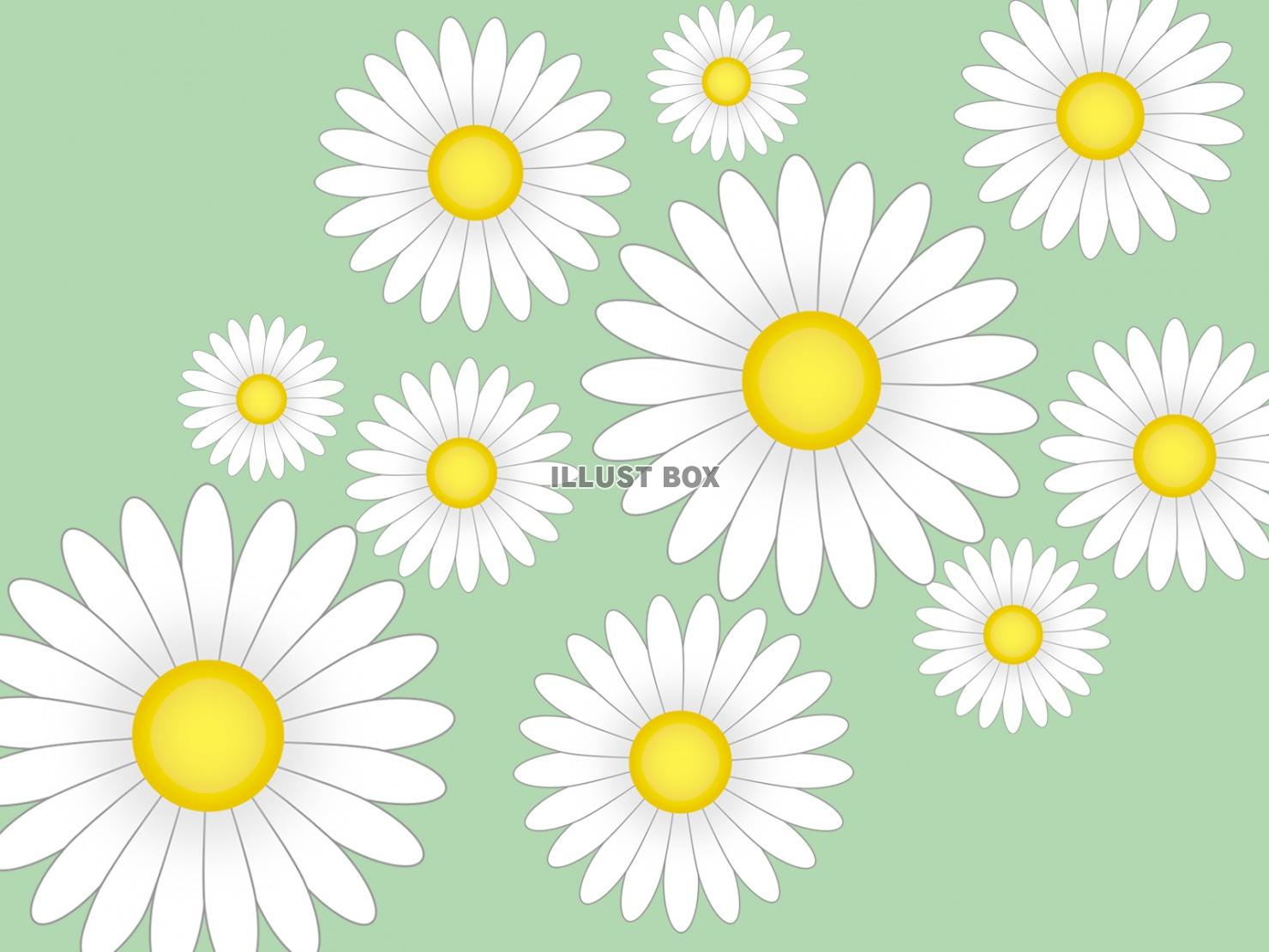 無料イラスト 白いお花模様壁紙シンプル背景素材イラスト