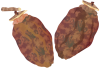 干し柿（透過PNG）