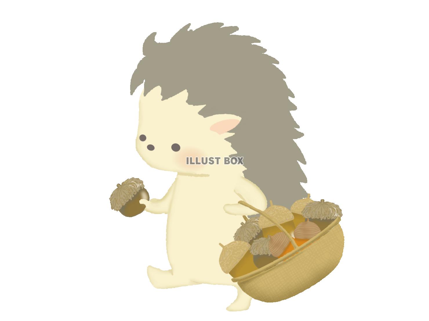 ドングリを持つハリネズミのイラスト　線なし