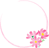秋桜の円形フレーム01