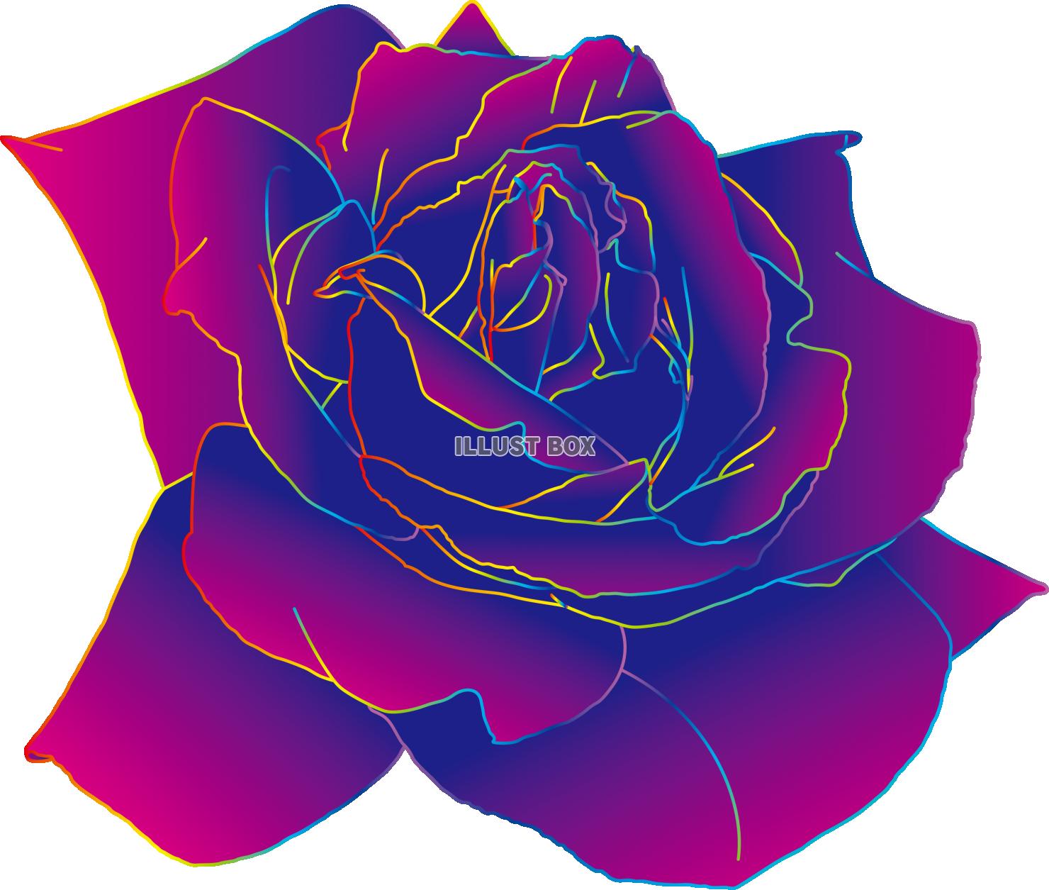 レインボーなラインのダークな薔薇　虹の線画のバラ