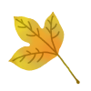 手書きの 秋の葉っぱ素材5