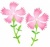 水彩のなでしこの花