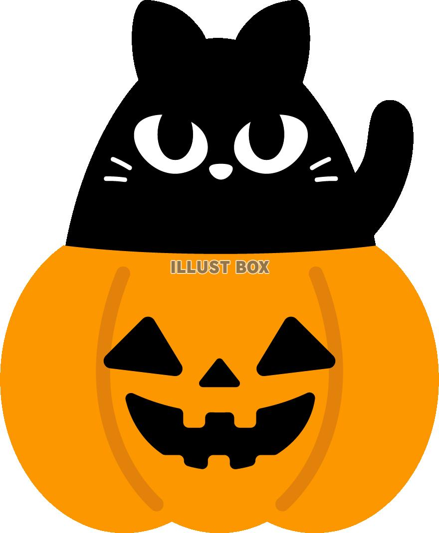 カボチャの中の黒猫　ハロウィン