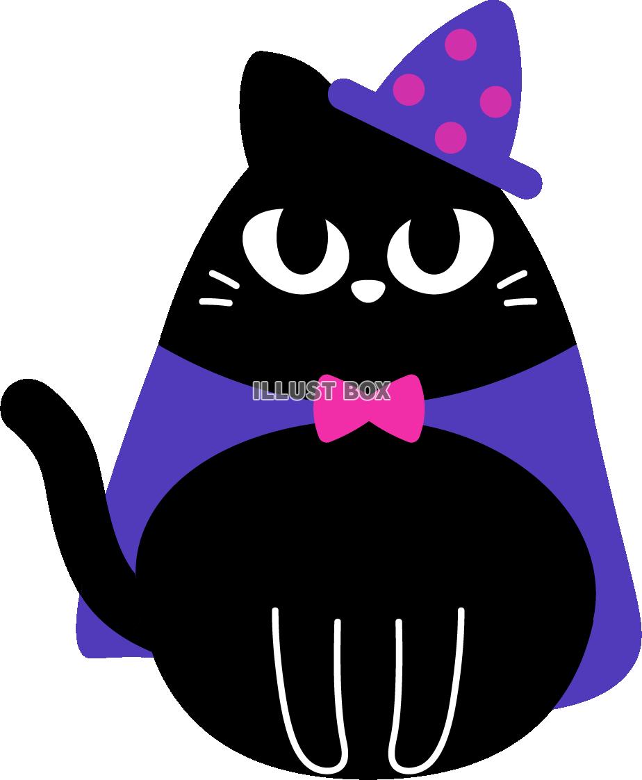 仮装する黒猫　ハロウィン