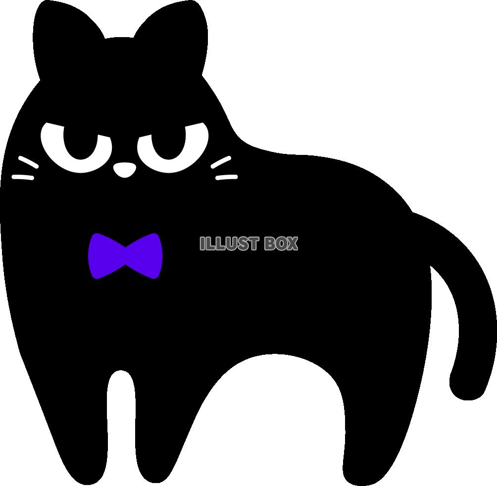 黒猫　紫リボン