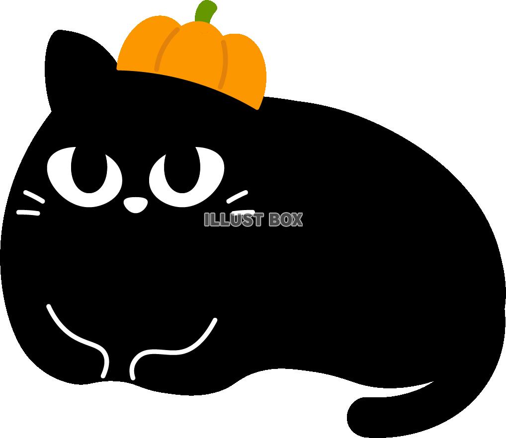 黒猫　カボチャ　ハロウィン