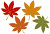 秋の葉っぱイラスト/もみじ線画