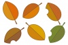 秋の葉っぱイラスト/落ち葉線画