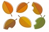 秋の葉っぱイラスト/落ち葉・版ずれ