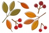 秋の葉っぱイラスト/木の実・版ずれ