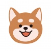 柴犬