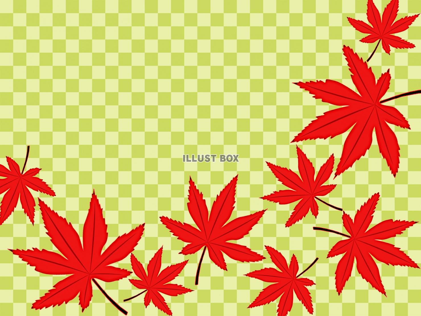 無料イラスト 市松模様と紅葉の葉っぱ壁紙シンプル背景素材イラスト