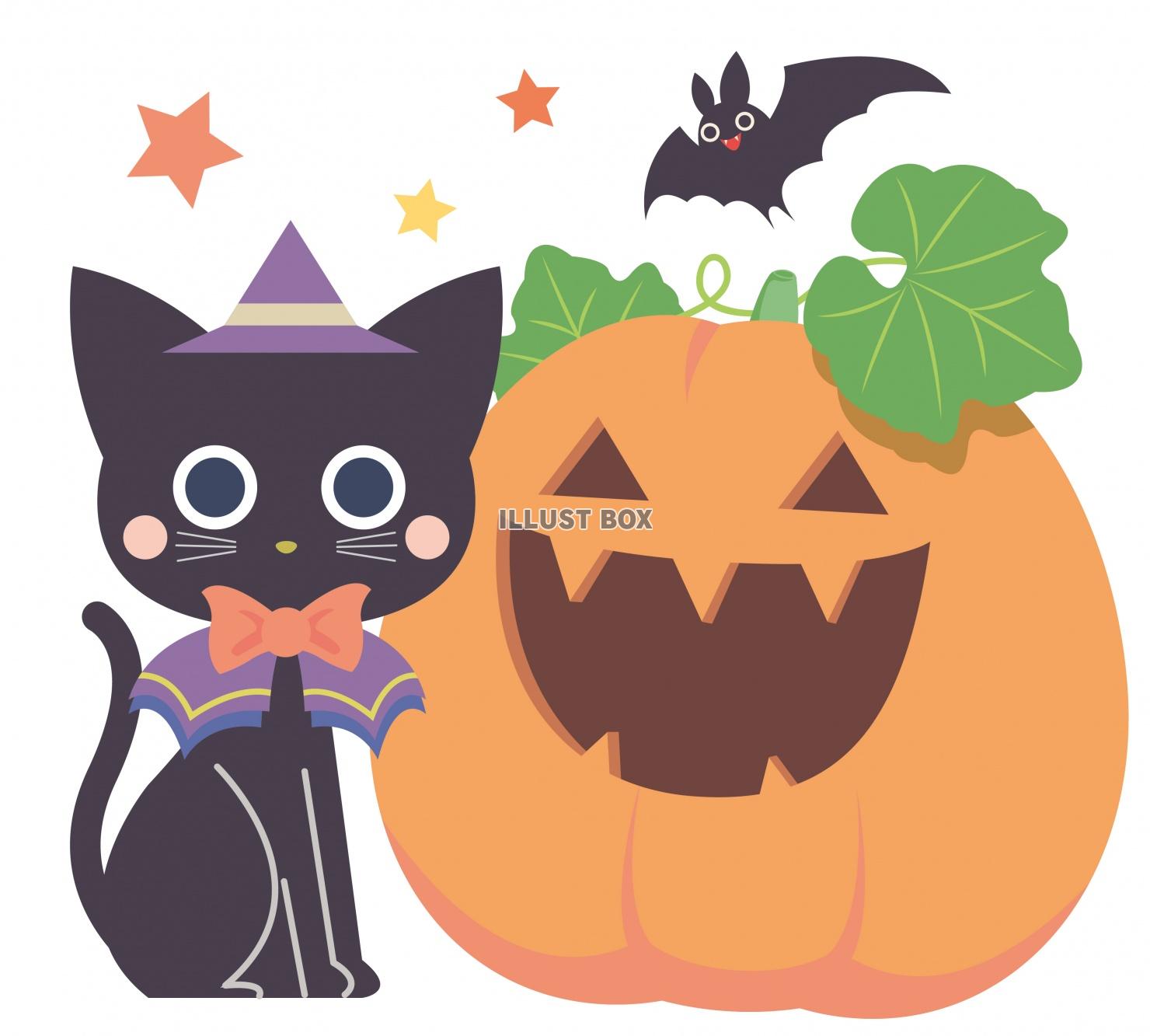 ハロウィン ジャックオーランタンと黒猫のイラスト：イラスト無料