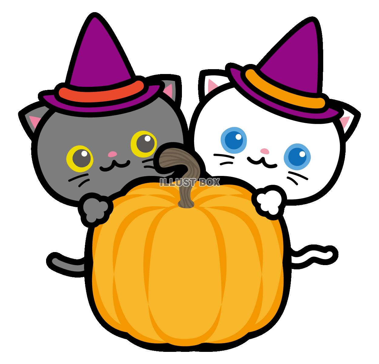 【猫】ハロウィン猫とかぼちゃのイラスト