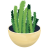 観葉植物