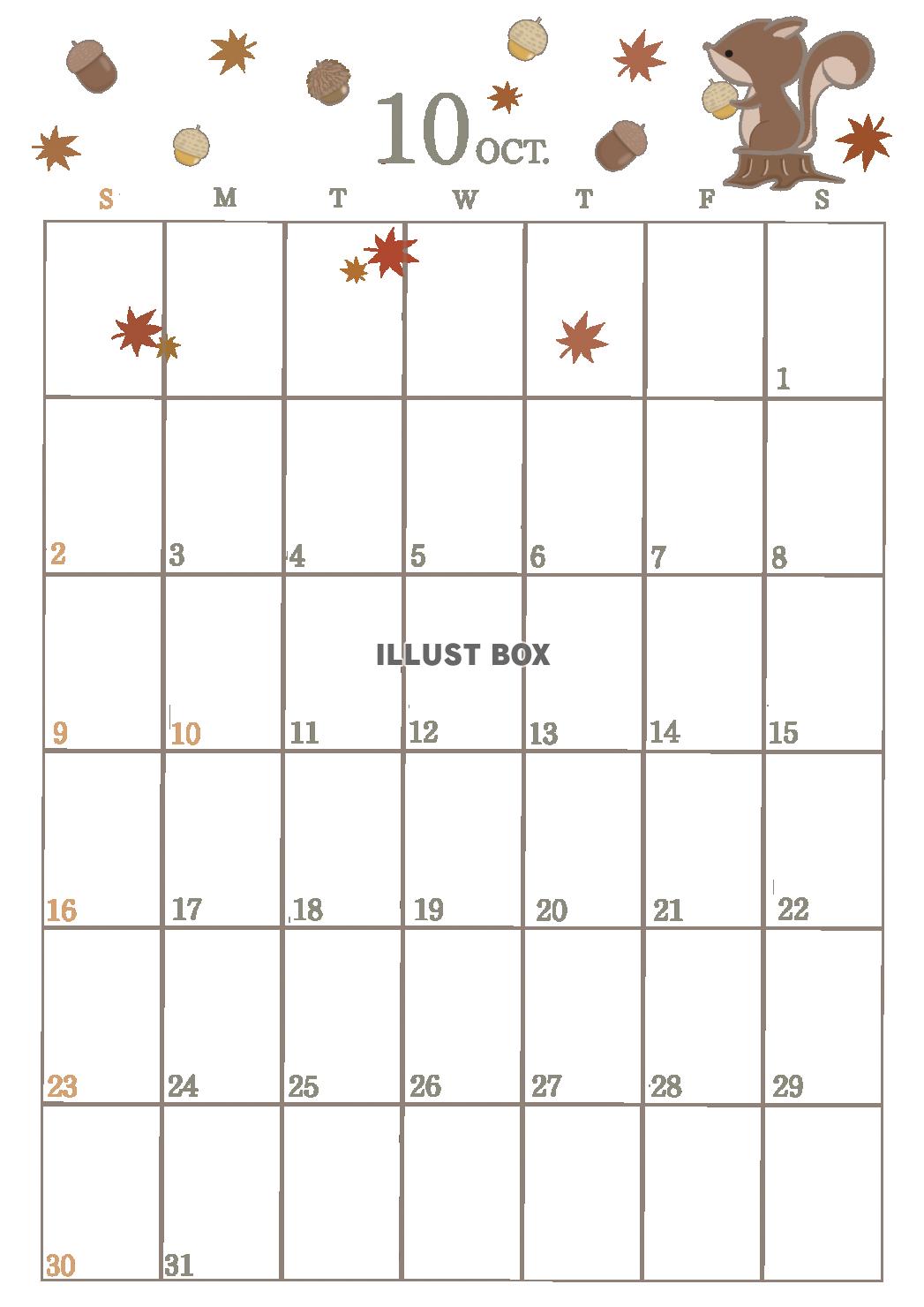 ２０２２年１０月のカレンダー（縦）　リスとドングリ