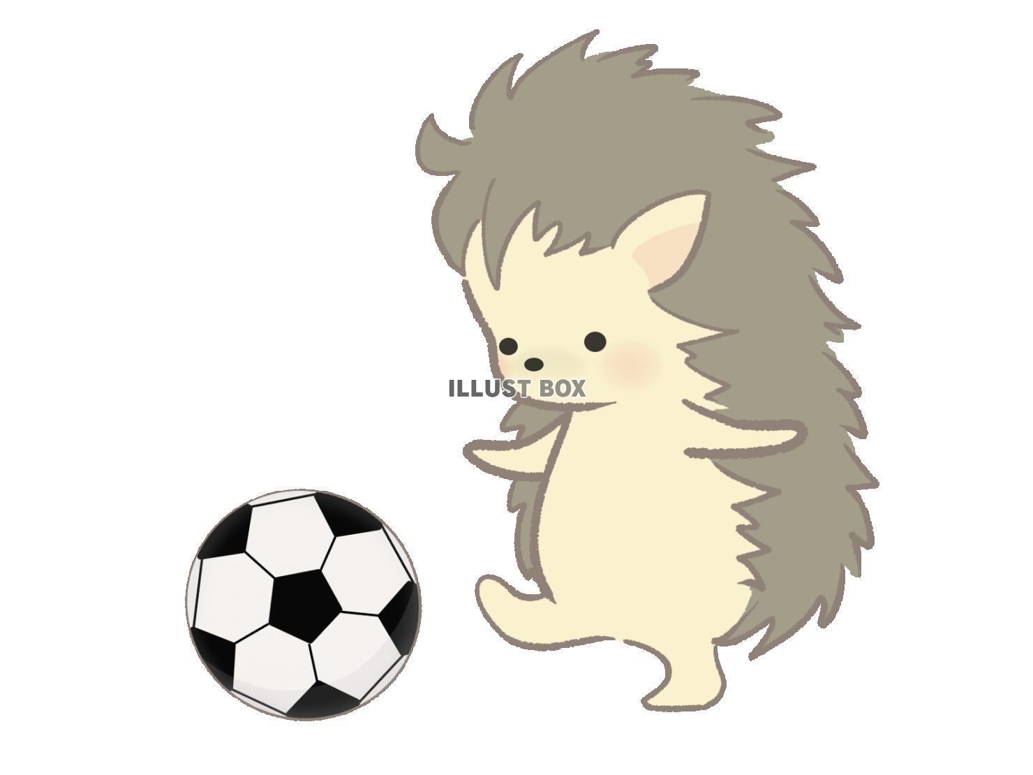 サッカーをするハリネズミのイラスト　線あり