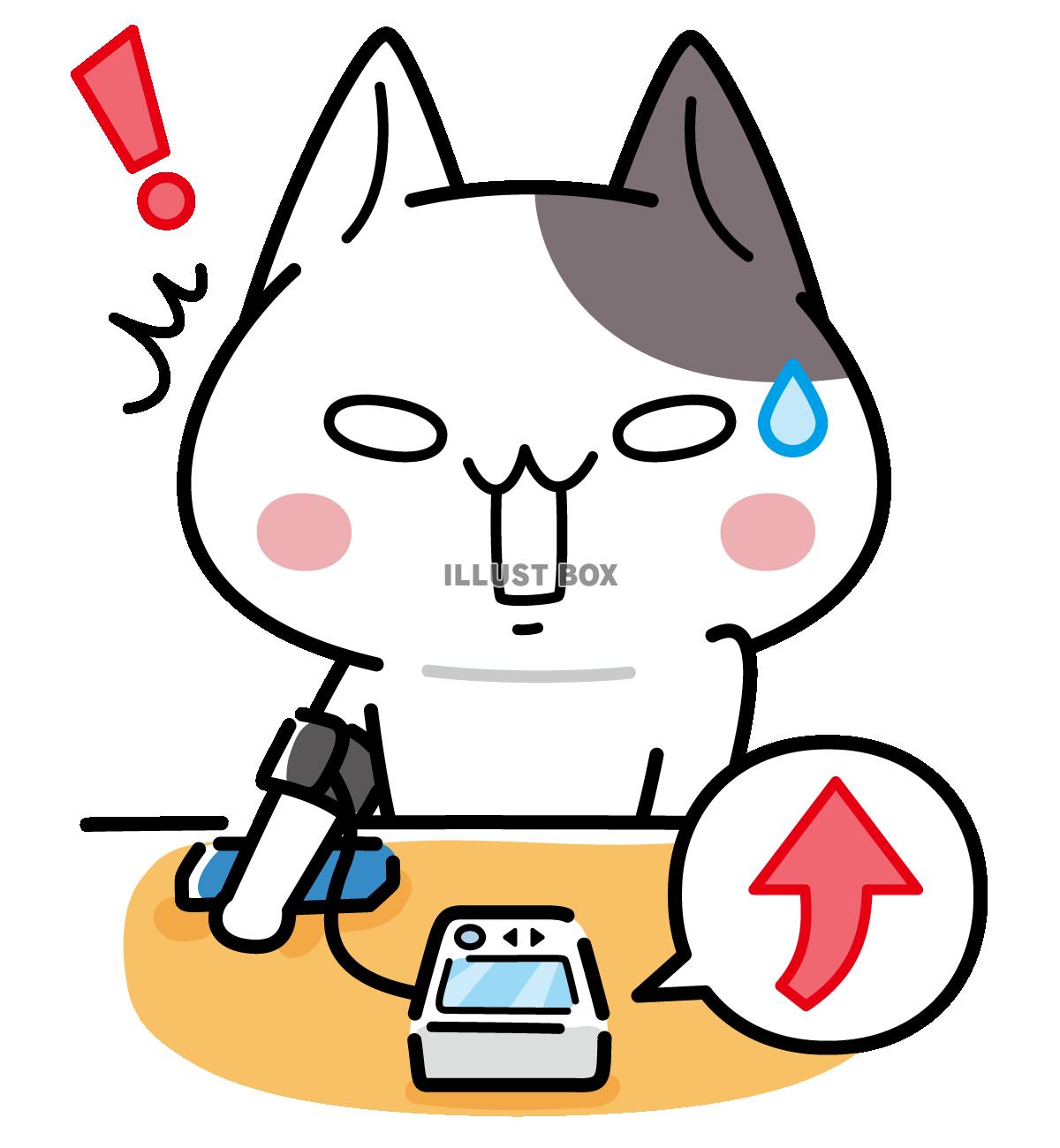 血圧が高くて驚くにゃんこ＜ぶち猫　にゃんこ＞