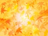 紅葉の背景