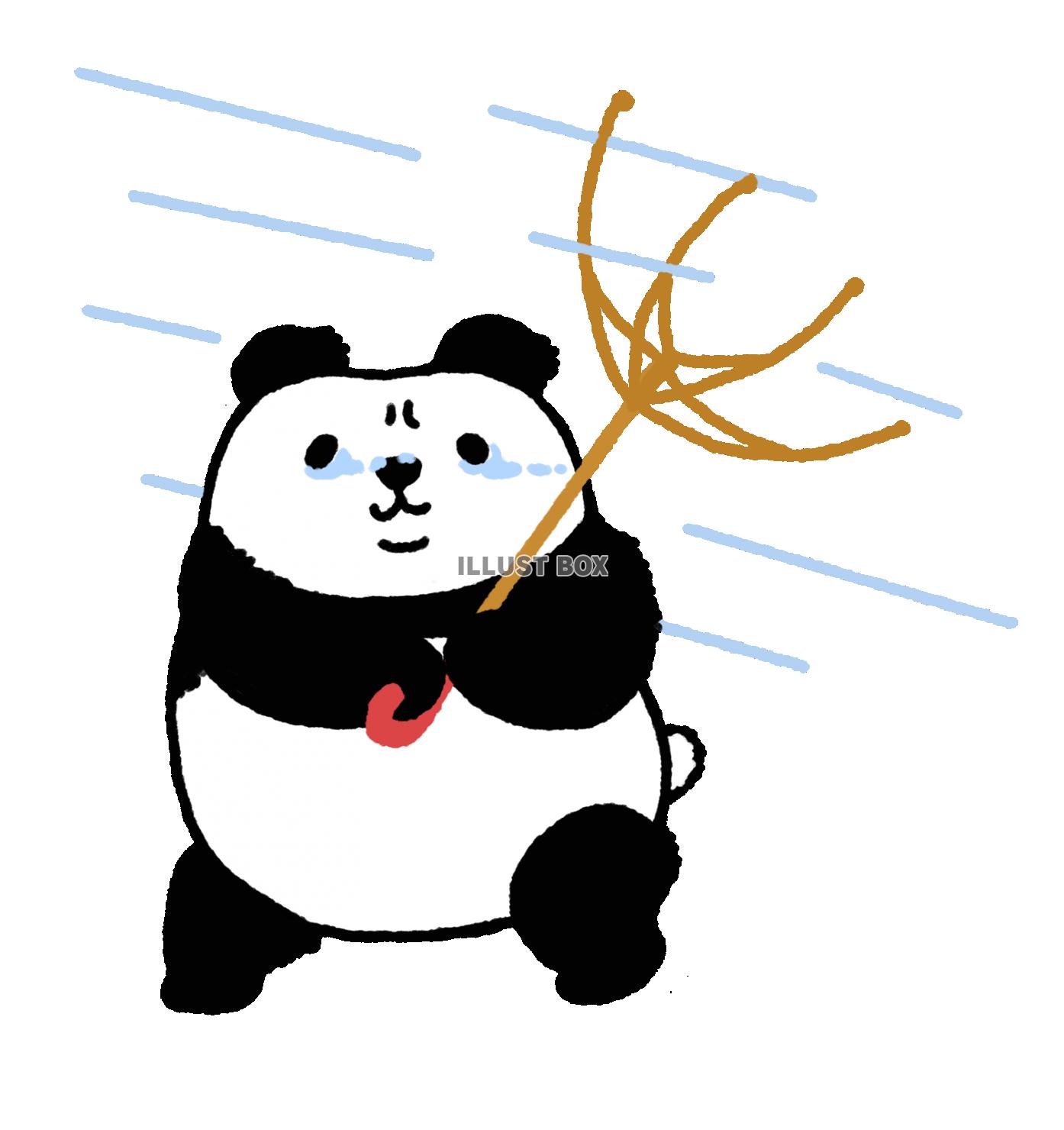 パンダシリーズ　傘が〜!!!