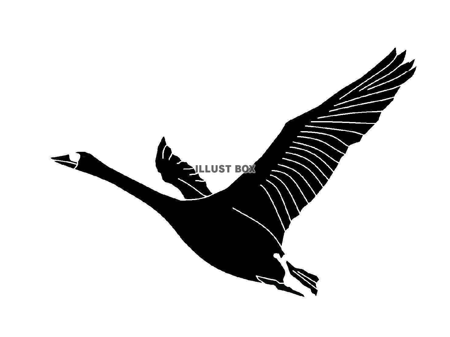 黒色の羽ばたく鶴のシルエットアイコン