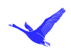 青色の羽ばたく鶴のシルエットアイコン
