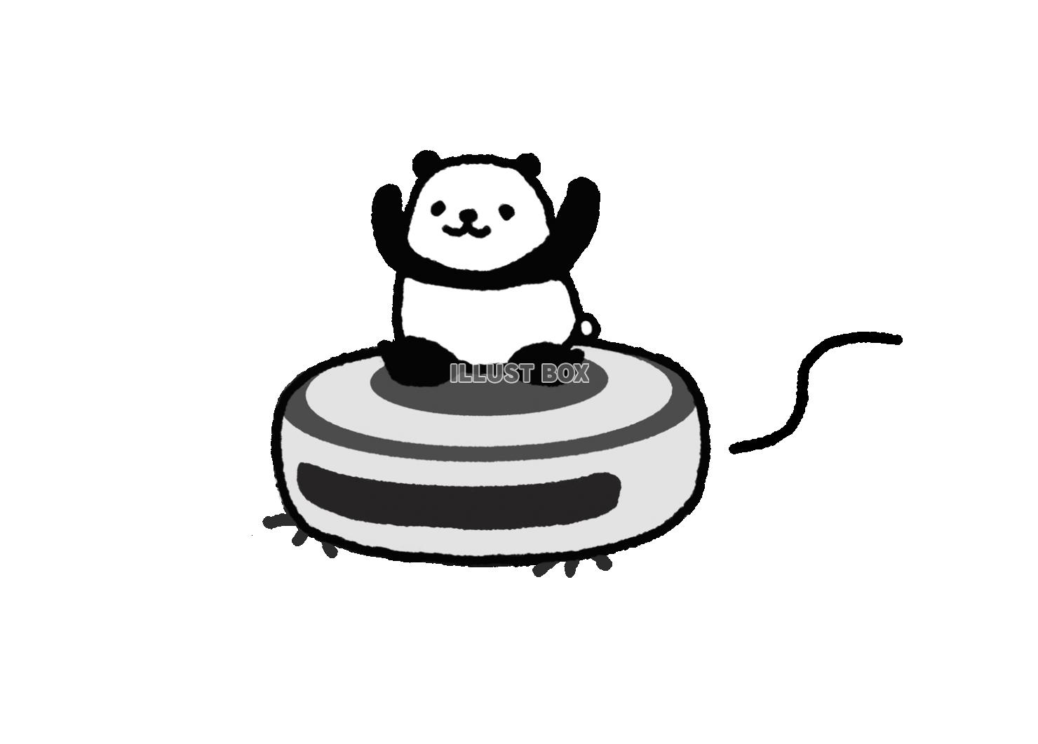 パンダシリーズ　ロボット掃除機で遊ぶ赤ちゃん