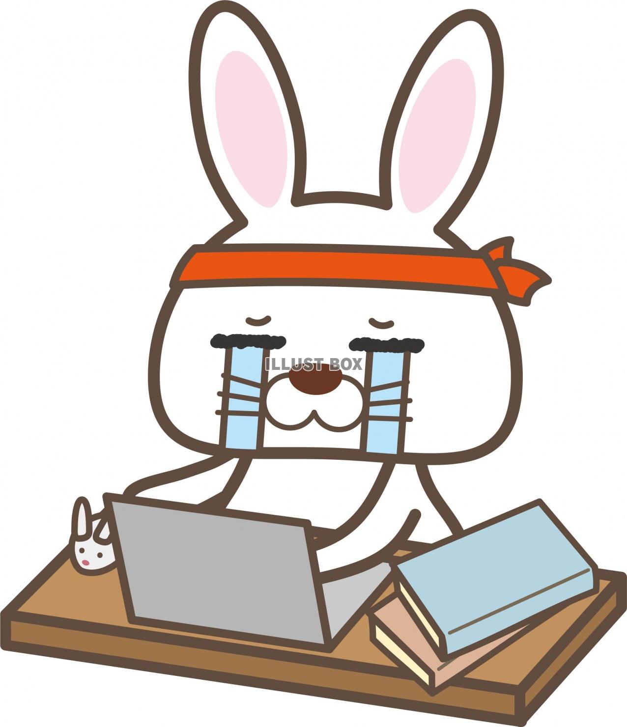 泣きながらパソコンで勉強や仕事をするウサギのイラスト