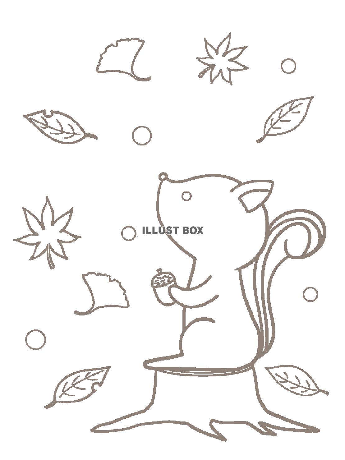 リスと葉っぱの塗り絵イラスト