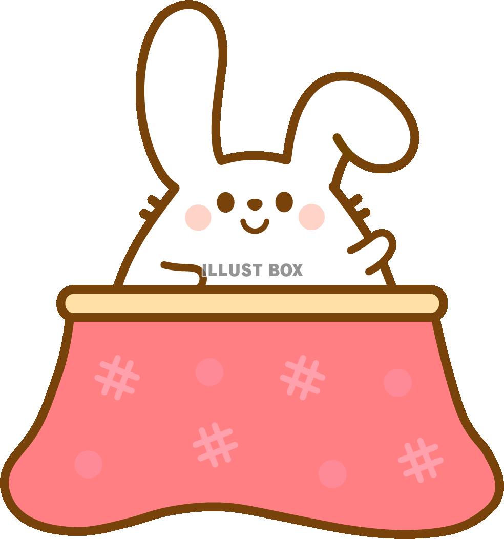 こたつとウサギ