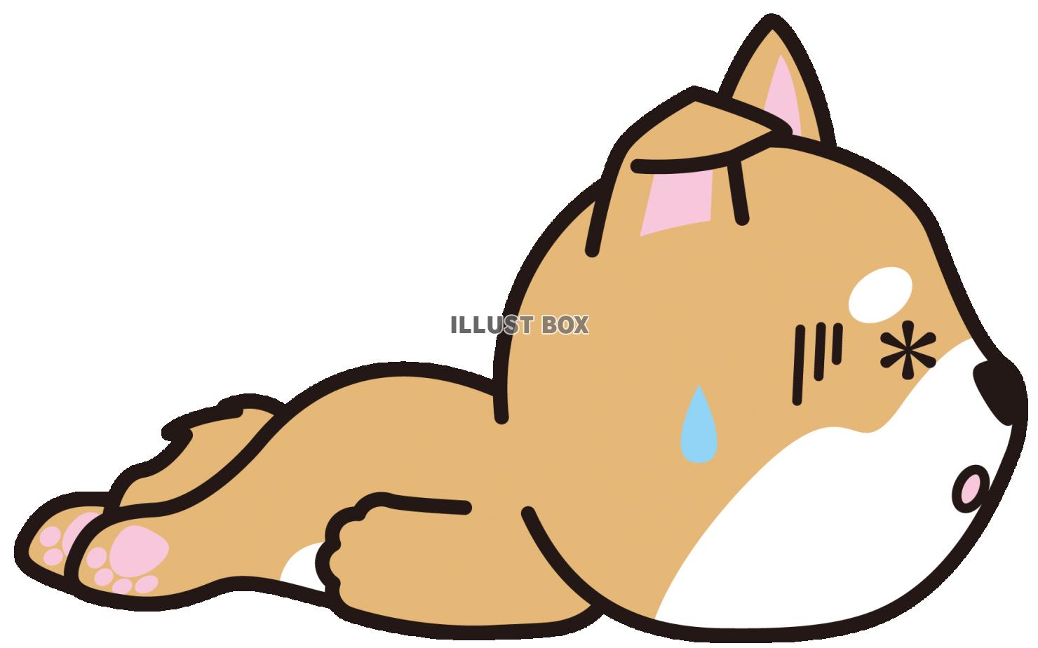 ぐでんしばちゃん2(透過PNG)