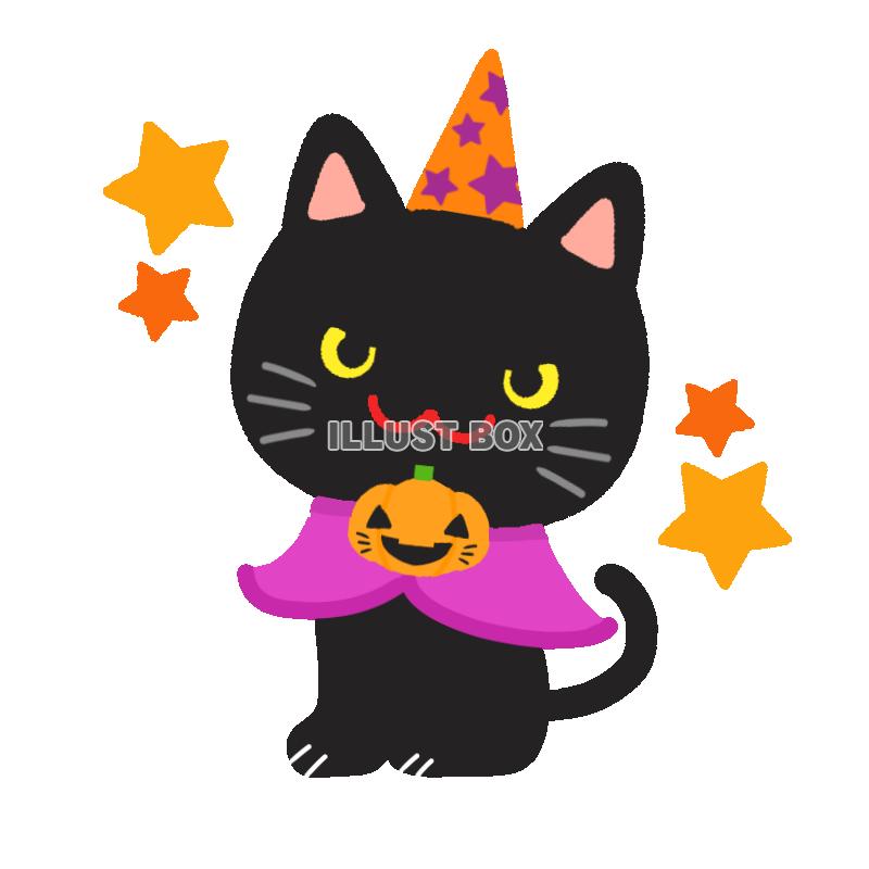 カボチャをつけた黒猫　透過png